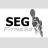 SEG (Taiwan)