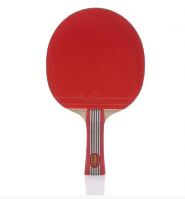 Ракетка для настольного тенниса Yasaka Racket Champ