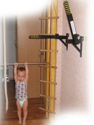 Брусья "Matrix" Складные