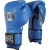 Тренировочные перчатки CLETO REYES Velcro Closure Training (синие)