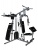 Фитнес станция HouseFit DH 81715 