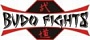 Combat Budo
