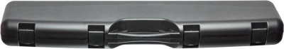 Кейс Mega line 110x25x11 пластиковый клипсы (черный)