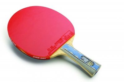 Ракетка DHS A6002