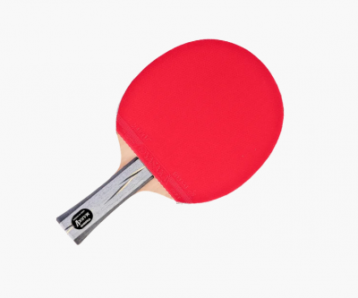 Ракетка для настольного тенниса Yasaka Racket Mark V