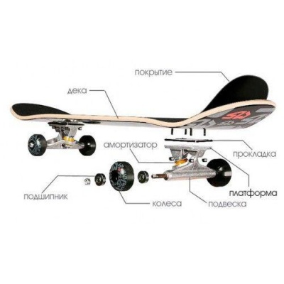 Скейтборд RD Labeda Double Eagle