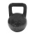Гиря чугунная Newt 24 кг
