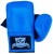 Перчатки снарядные Thai Professional BG6 Blue кожа