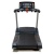 Беговая дорожка AeroFit PRO 8800TM LCD-TV