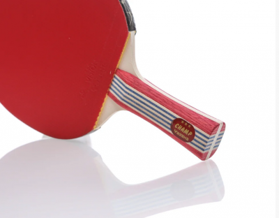 Ракетка для настольного тенниса Yasaka Racket Champ
