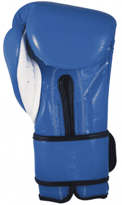 Тренировочные перчатки CLETO REYES Velcro Closure Training (синие)
