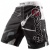 Шорты для единоборств Hayabusa Metaru White