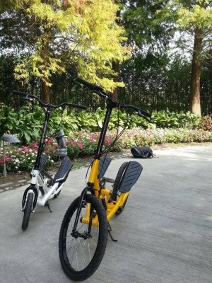 Степвинг Brizon Titan T3