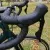 Велосипед Cannondale SuperSix Carbon 105