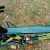 Велосипед Cannondale SuperSix Carbon 105